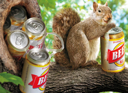 squirrels carrying six pack birthday card