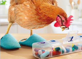 chicken with pill box  birthday card