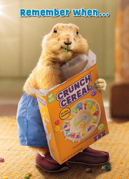 groundhog cereal box  birthday card