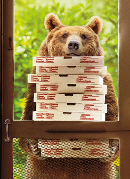 bear with pizzas birthday card