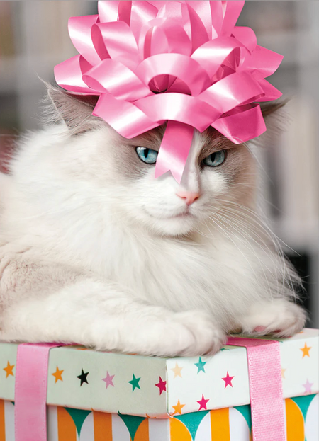 cat with bow birthday card