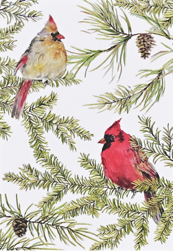 cardinals in evergreen boxed holiday cards