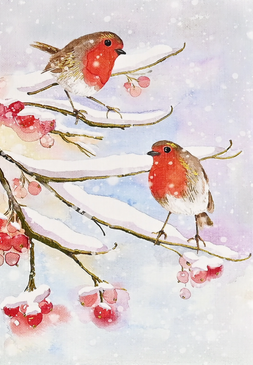 english robins boxed holiday cards