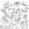 wildflower adult coloring book