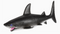 ginormous grow shark 