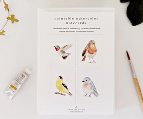 backyard birds paintable notecards