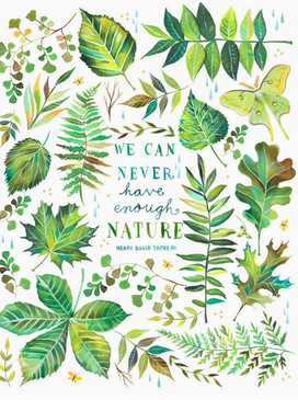nature print 8 x 10