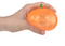 jack o lantern squeezy ball