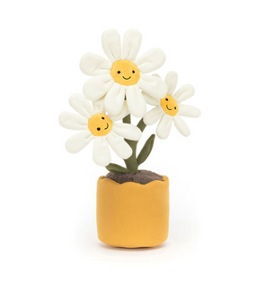 amuseable daisy