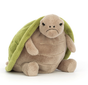 timmy turtle