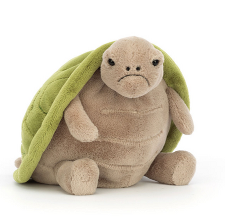 timmy turtle