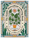 the happy houseplant coloring book