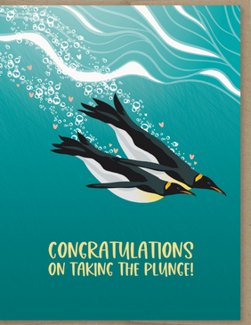 taking the plunge | engagement