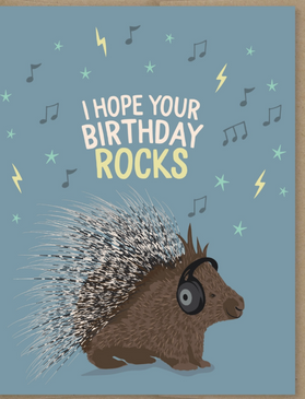 porcupine | birthday