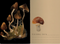 forest mushrooms notebook