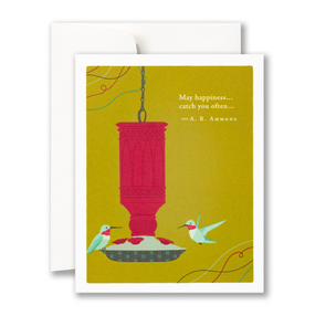 may happiness catch you | birthday