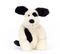 bashful black & cream puppy