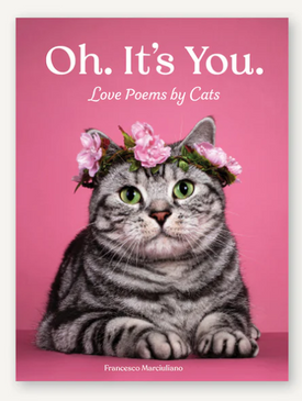oh. it's you ~ love poems by cats