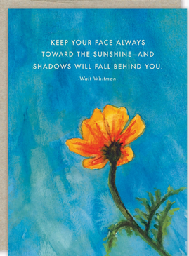 marigold | encouragement