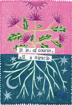 all a mircle | encouragement