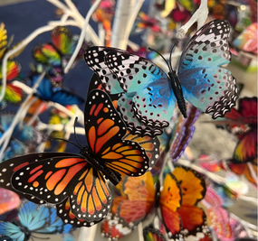 glow butterfly magnet (assorted)