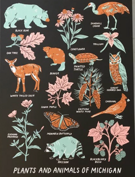 michigan plants and animals magnet
