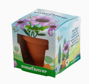 kids coneflower grow kit