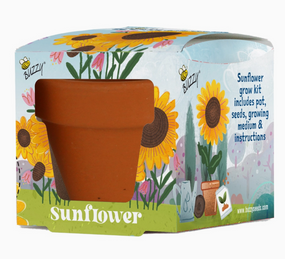 kids sunflower grow kit