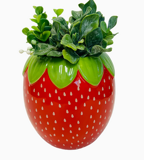 strawberry planter