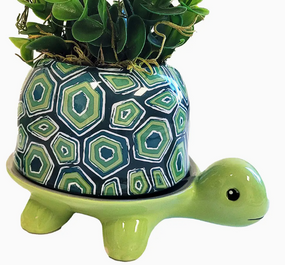turtle footsie planter