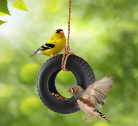 bird feeder swing time