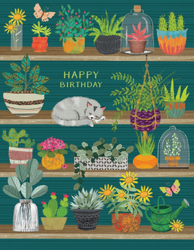 cat with plants | birthday