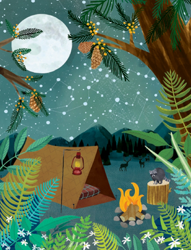 camping under stars | birthday