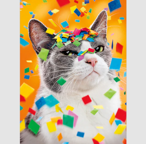 snarky confetti cat | birthday