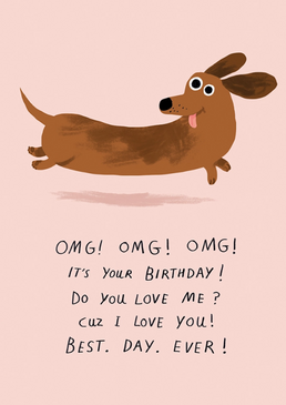 best birthday dog | birthday