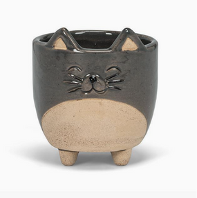 small cat on legs planter