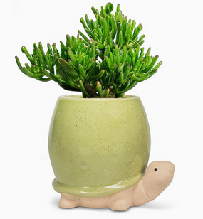 tall green turtle planter