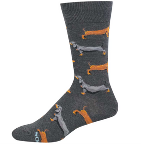dachshunds mens socks