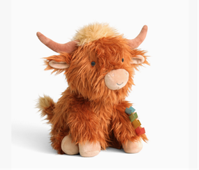 sweetie snuggles highland cow