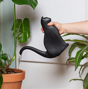 cat watering can