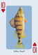 Image 2 Image 2