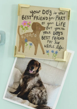 corner magnet dog best friend