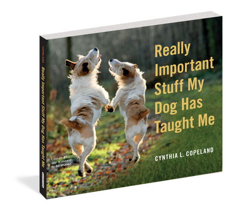 dogs, gift for dog lovers, book