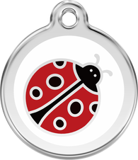 Red Dingo ID Tag for Cats in Lady Bug