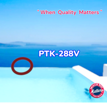 101W716U01   VITON ORING    Fischer-Porter