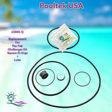 65005		Pac Fab Challemger Pump Repair Kit