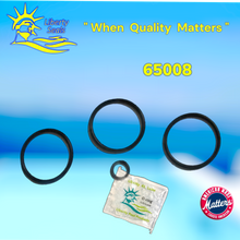 65008		Anthony 2" Brass Slide Valve Rebuild Kit