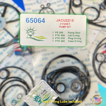 JACUZZI® CYGNET PUMP