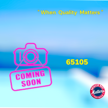 65105		Pentair - Optiflo Pump