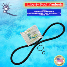 AMERICAN QUANTUM™
CARTRIDGE FILTER (43.7 & 87.5 SQ.FT.)